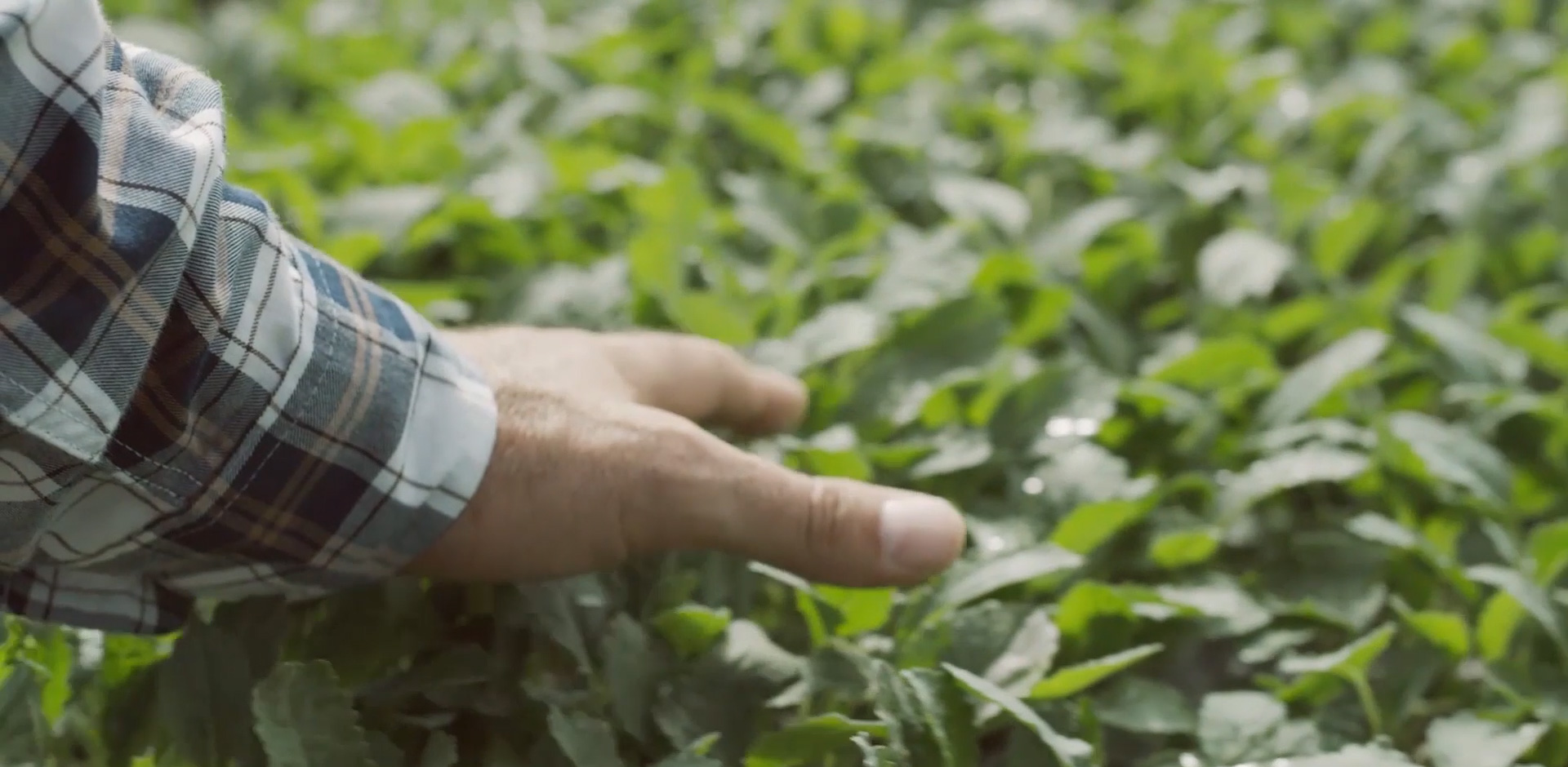 生物科技滋養(yǎng)生命 